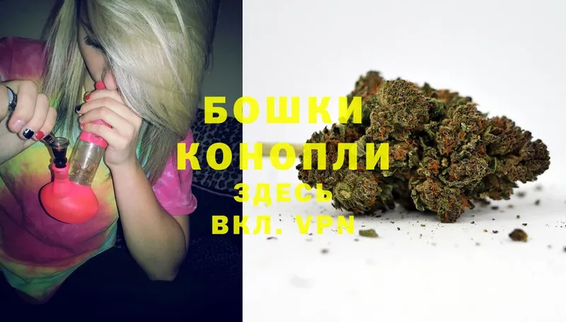 Бошки Шишки White Widow  Северск 